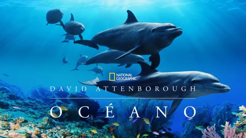 David Attenborough ocean key art with dolphins over a reef