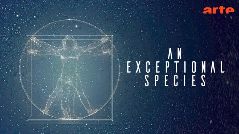 arte key art with a Vitruvian figure in a star field